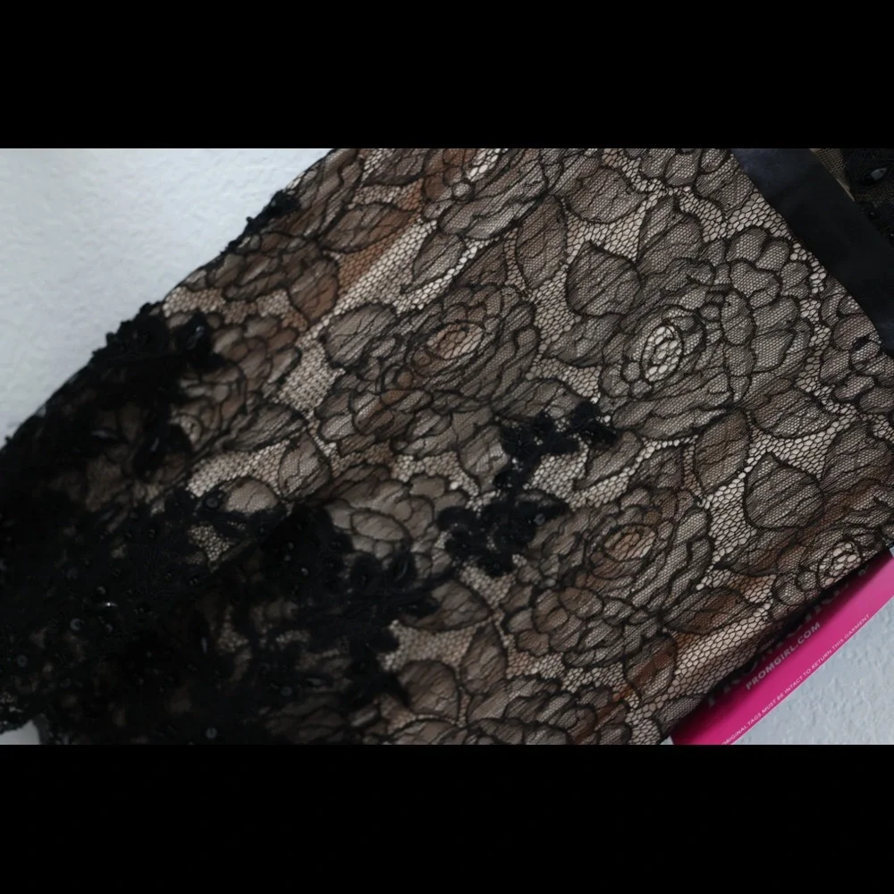 Alyce Paris Black and Nude Lace and Bead Cocktail Dress - Picture 5 of 6